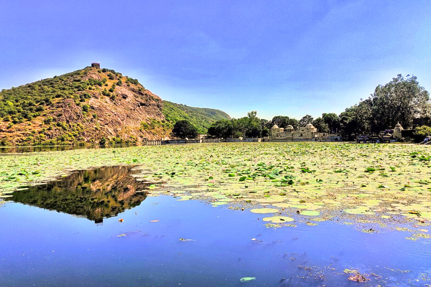 The Wildlife Golden Triangle of Rajasthan